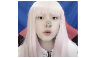 ヘライザーの正体は何者 年齢 本名や女子高生の噂を解説 画像あり Coco News